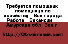 Требуется помощник, помощница по хозяйству - Все города Работа » Вакансии   . Амурская обл.,Зея г.